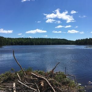 Meet your Posher, Josh